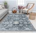 Mason Brooks Amari AM10B Smoked Gray Area Rug For Cheap