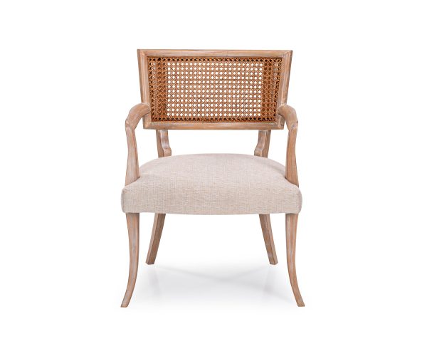 DORIAN DINING ARM CHAIR Online