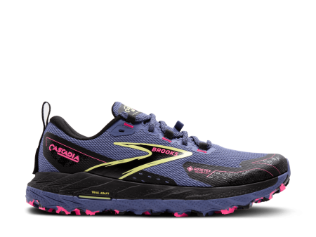 Brooks Cascadia 18 GTX (B Width) - Grey Blue Black Pink (Womens) For Cheap