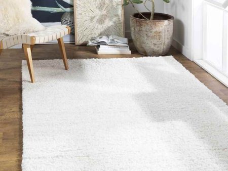 Vere Solid and Border Area Rug Carpet for Living Room Bedroom or Kitchen Fashion