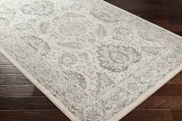 Ampngar Transitional Area Rug Sale