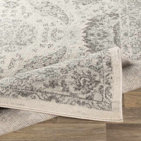 Ampngar Transitional Area Rug Sale