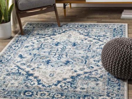 Cannock 9x12 Traditional Blue Area Rug Carpet for Living Room Bedroom or Kitchen (8 10  x 12 ) Supply