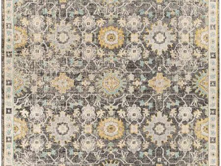 Tuckshall Updated Traditional Area Rug Hot on Sale