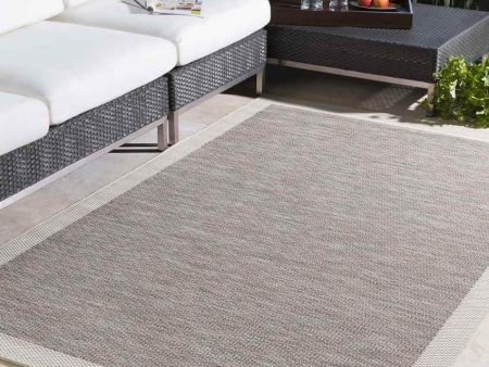 Auxerre 5x8 Outdoor Blue Area Rug Carpet for Living Room Bedroom or Kitchen (5 4  x 7 7 ) Online Sale