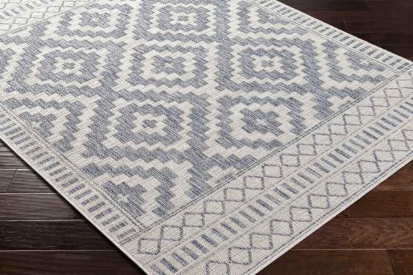 Kirkman Outdoor Area Rug Carpet for Living Room Bedroom or Kitchen Supply