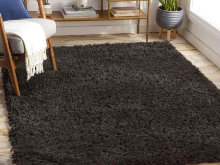 Abraham 2x4 Solid and Border Black Area Rug Carpet for Living Room Bedroom or Kitchen (2 3  x 3 9 ) Online Hot Sale