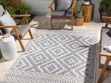 Kirkman Outdoor Area Rug Carpet for Living Room Bedroom or Kitchen Supply