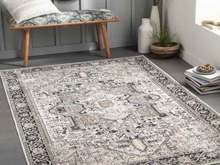 Westbaden Traditional Area Rug Carpet for Living Room Bedroom or Kitchen Sale