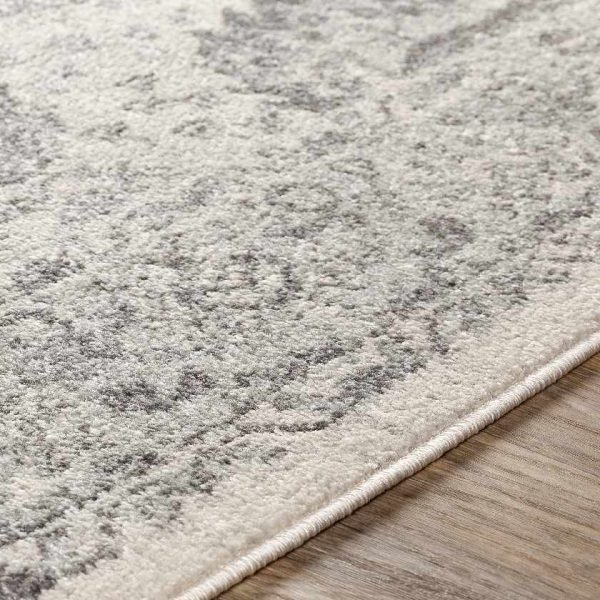 Ampngar Transitional Area Rug Sale