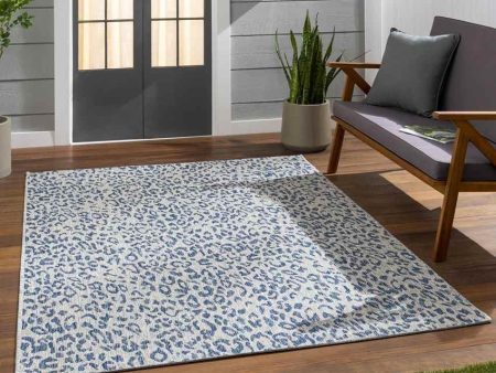 Alem 2x3 Modern Blue Area Rug Carpet for Living Room Bedroom or Kitchen (2  x 2 11 ) Online now