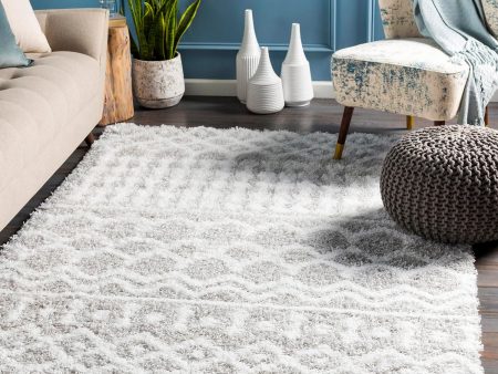 Carter Shag Area Rug Carpet for Living Room Bedroom or Kitchen Discount