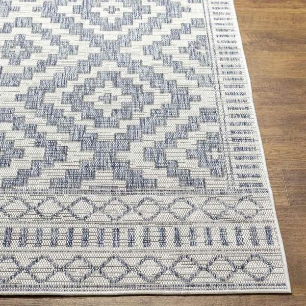 Kirkman Outdoor Area Rug Carpet for Living Room Bedroom or Kitchen Supply