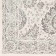 Ampngar Transitional Area Rug Sale