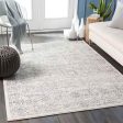 Beauvais 12x15 Traditional Gray Area Rug Carpet for Living Room Bedroom or Kitchen (11 10  x 15 ) Supply