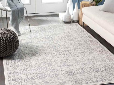 Beauvais 12x15 Traditional Gray Area Rug Carpet for Living Room Bedroom or Kitchen (11 10  x 15 ) Supply