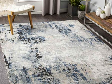 Vuren Modern Blue Area Rug Carpet for Living Room Bedroom or Kitchen Cheap